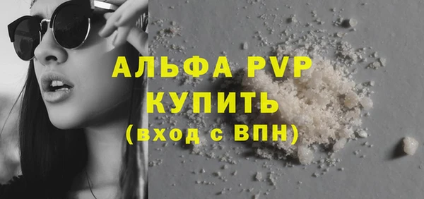 хмурый Корсаков