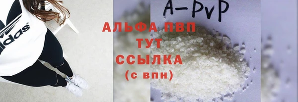 хмурый Корсаков
