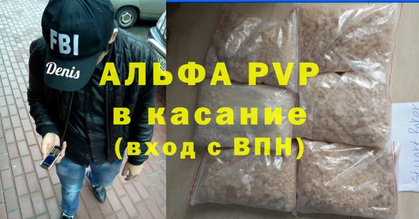 хмурый Корсаков