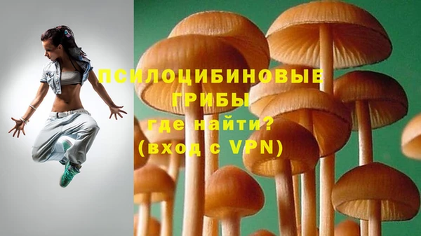 mdpv Костерёво