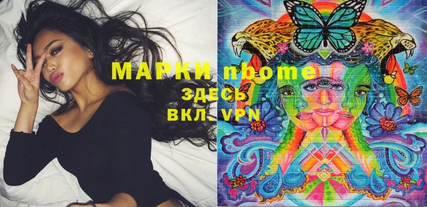 хмурый Корсаков