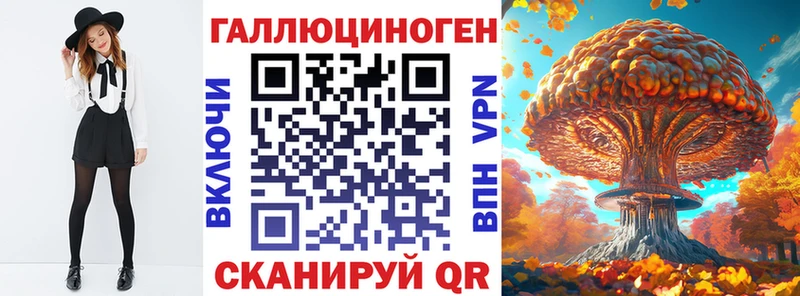 купить цена Керчь Псилоцибиновые грибы мицелий